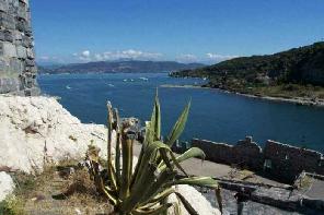 Click the image to view photos in this gallery.